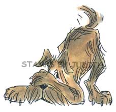 R-16 Lg. Shy Dog